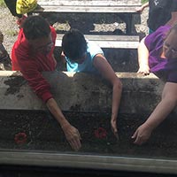 Working on a beautiful outdoor garden together