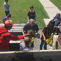 wilf plants outdoor activity